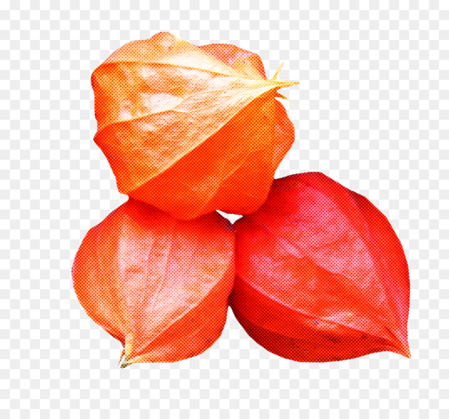 Orange，Usine PNG