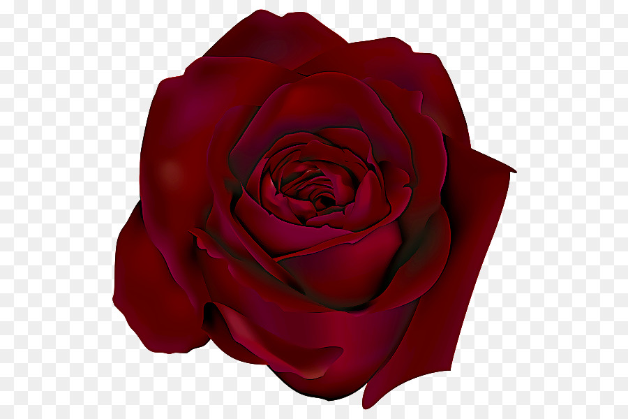 Rose Noire，Sombre PNG