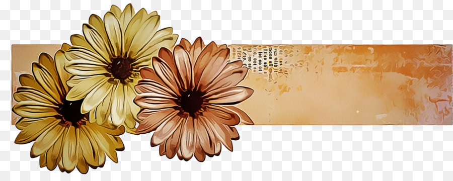 Fleur，Gerbera PNG