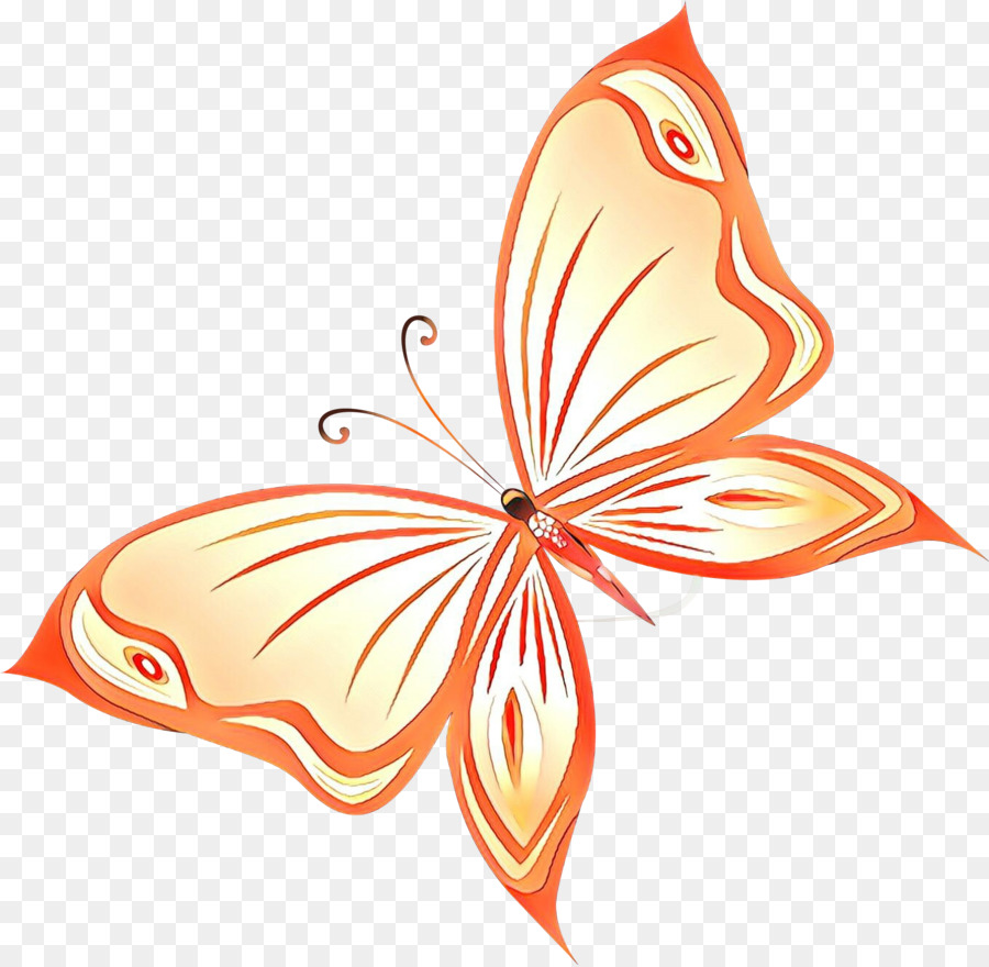 Papillon Orange，Ailes PNG