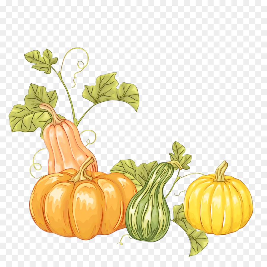 Citrouille，Gourde PNG