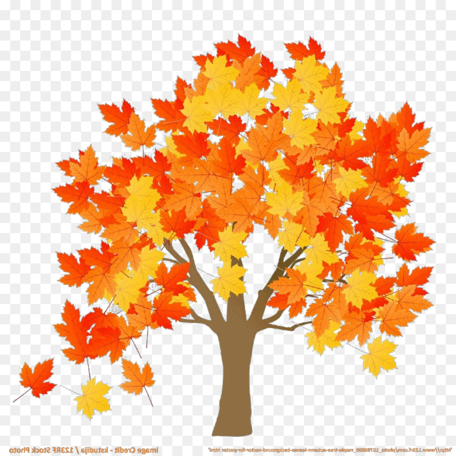 Arbre，Feuilles PNG