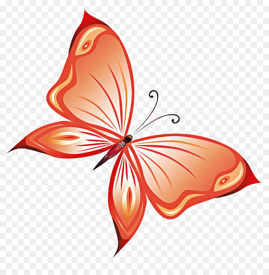 Papillon Orange，Ailes PNG