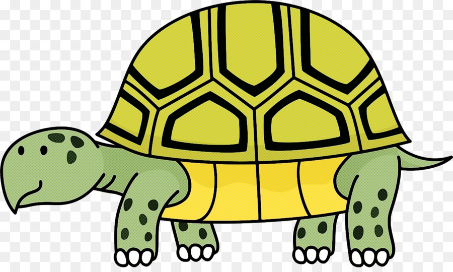 Tortue Et Escargot De Dessin Animé，Animal PNG