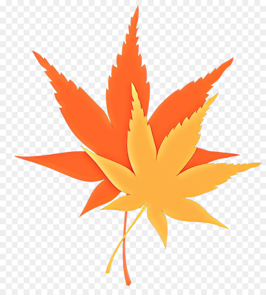 Feuilles D'érable，Automne PNG