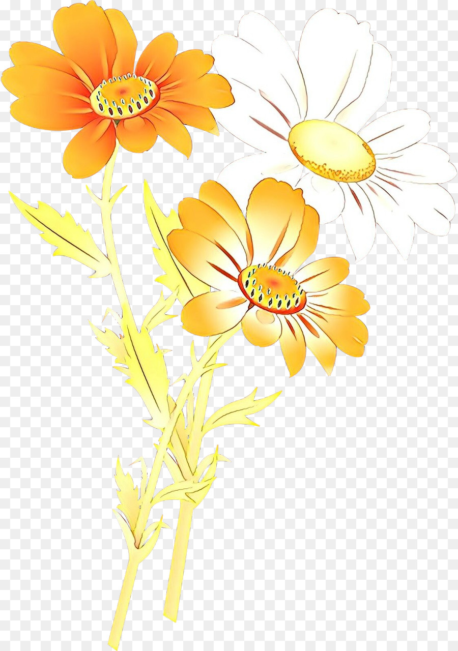 Fleurs Colorées，Jardin PNG