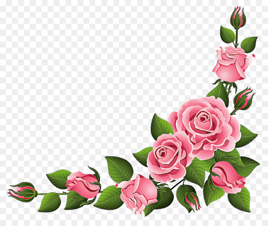 Rose，Fleur PNG