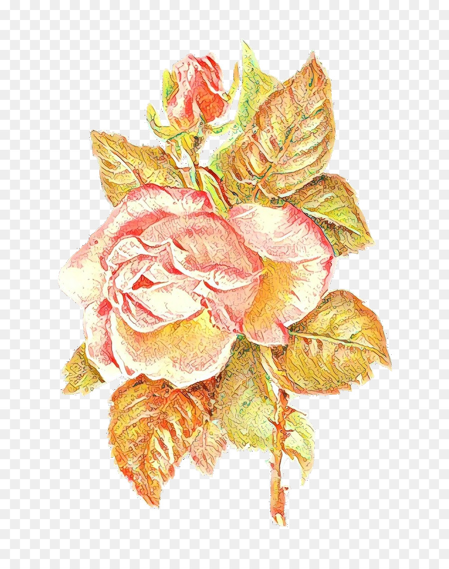 Rose Rose，Feuilles Vertes PNG