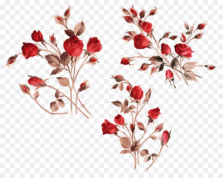 Roses Rouges，Bouquet PNG