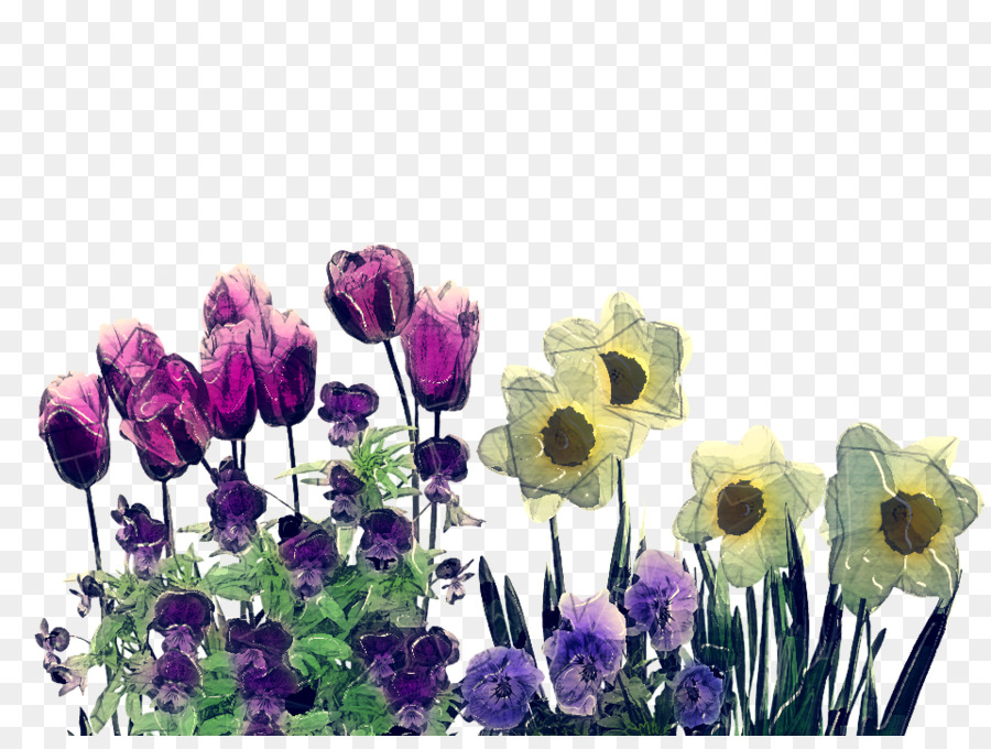 Fleurs Colorées，Tulipe PNG