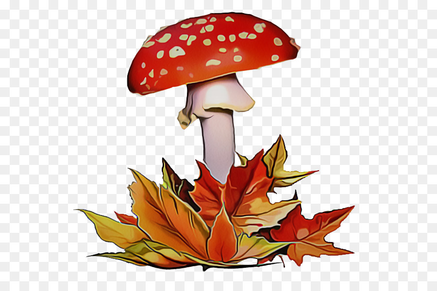 Champignons，Feuilles PNG