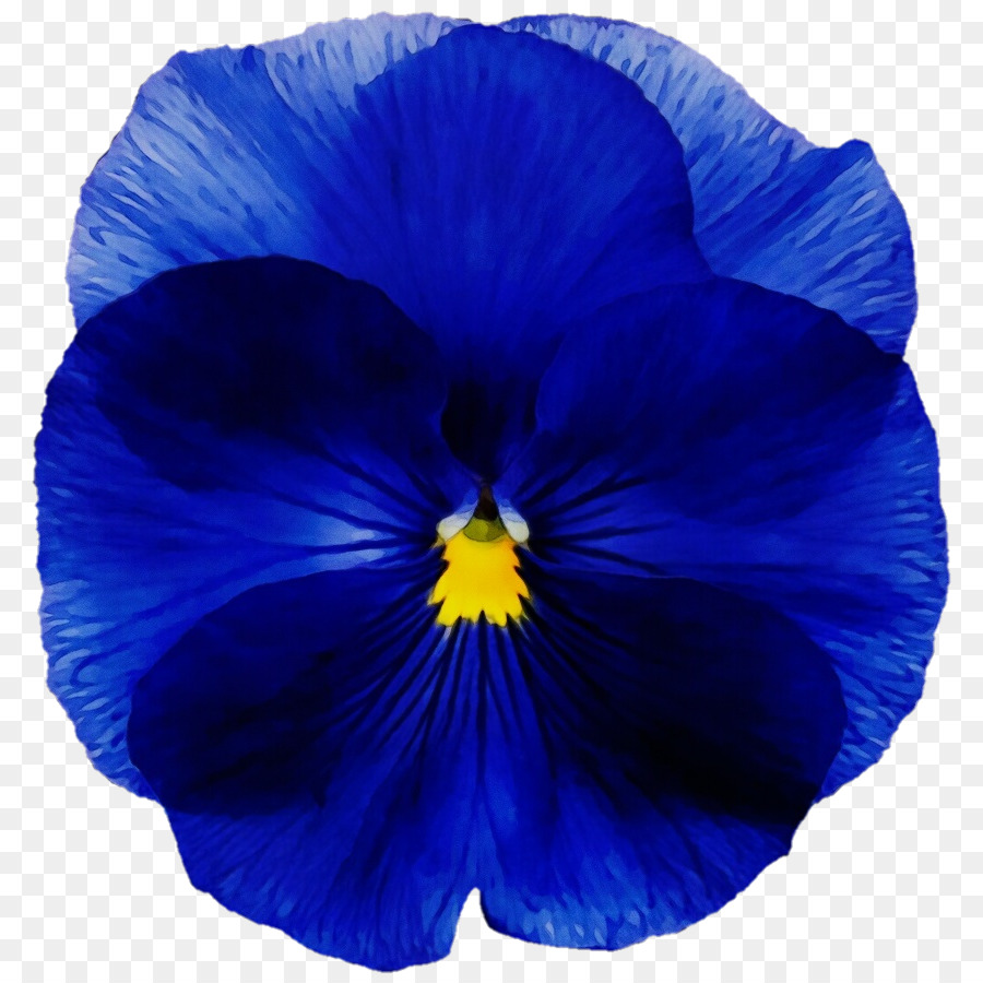 Fleur，Bleu PNG