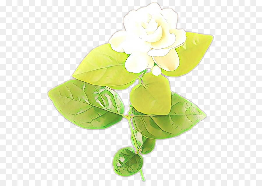 Vert，Fleur PNG