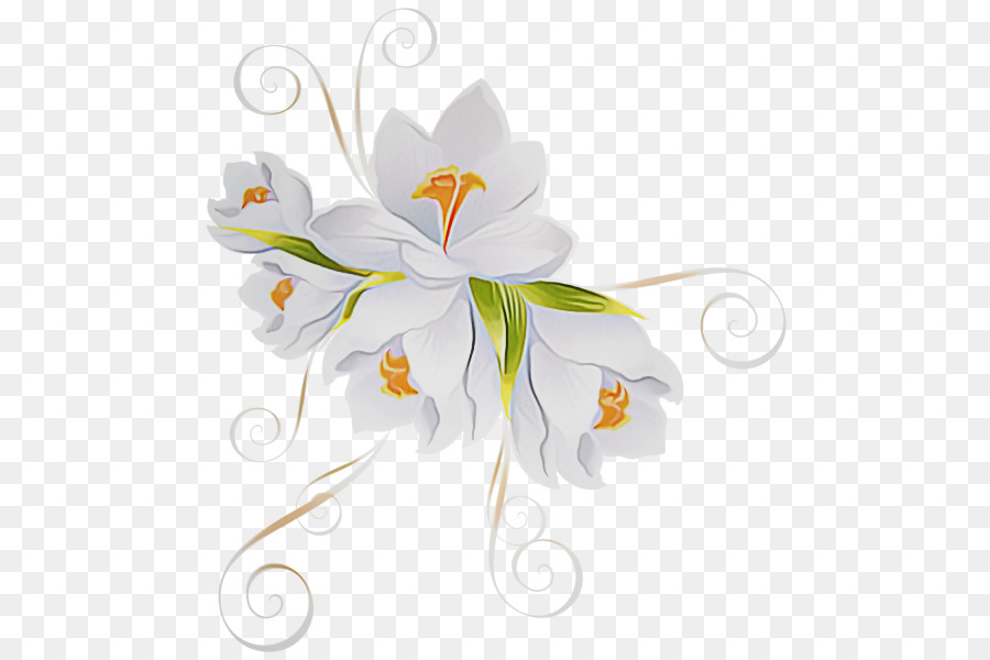 La Floraison De La Plante，Blanc PNG