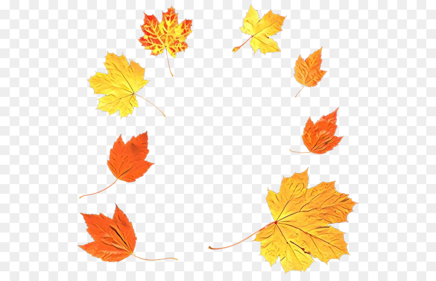 Couronne D'automne，Feuilles PNG