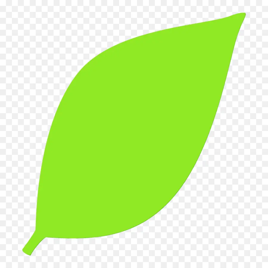 Feuille Verte，Usine PNG