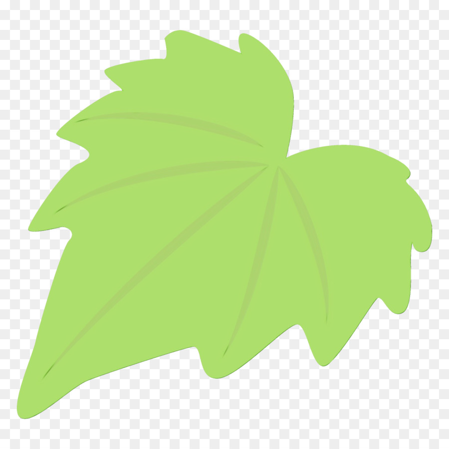 Feuille，Vert PNG