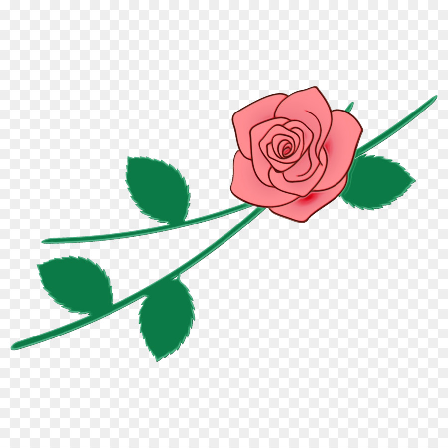 Roses，Floraison PNG