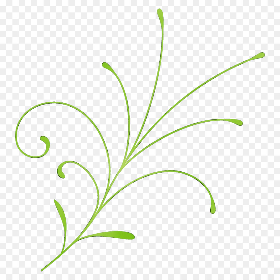 Plante Abstraite，Feuilles PNG