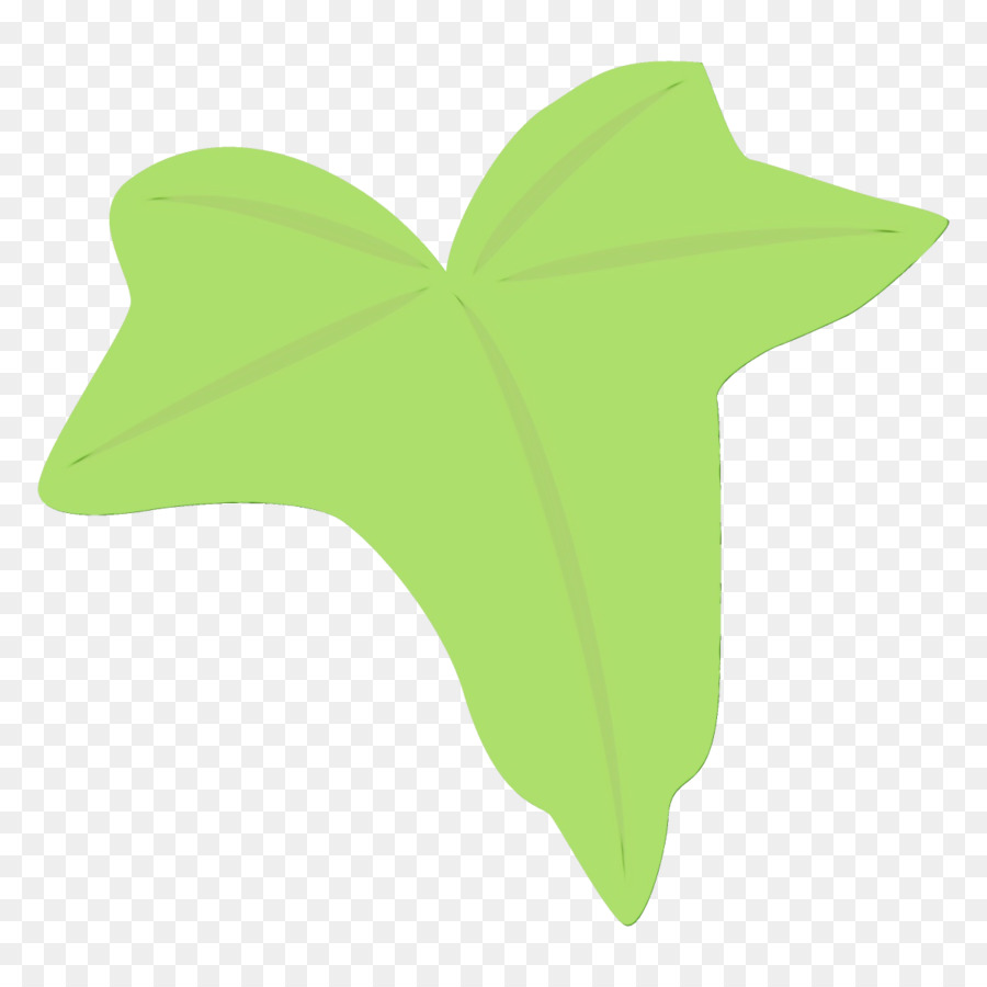 Feuilles Vertes，Usine PNG