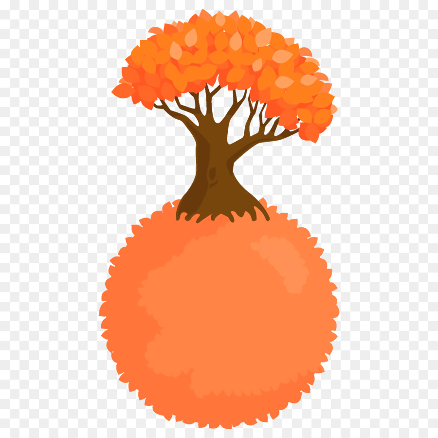 Orange，Pom Pom PNG