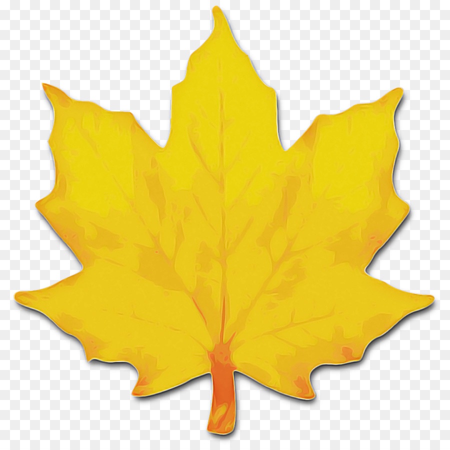 Feuille，Arbre PNG