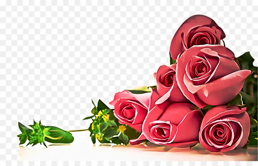 Rose，Roses De Jardin PNG