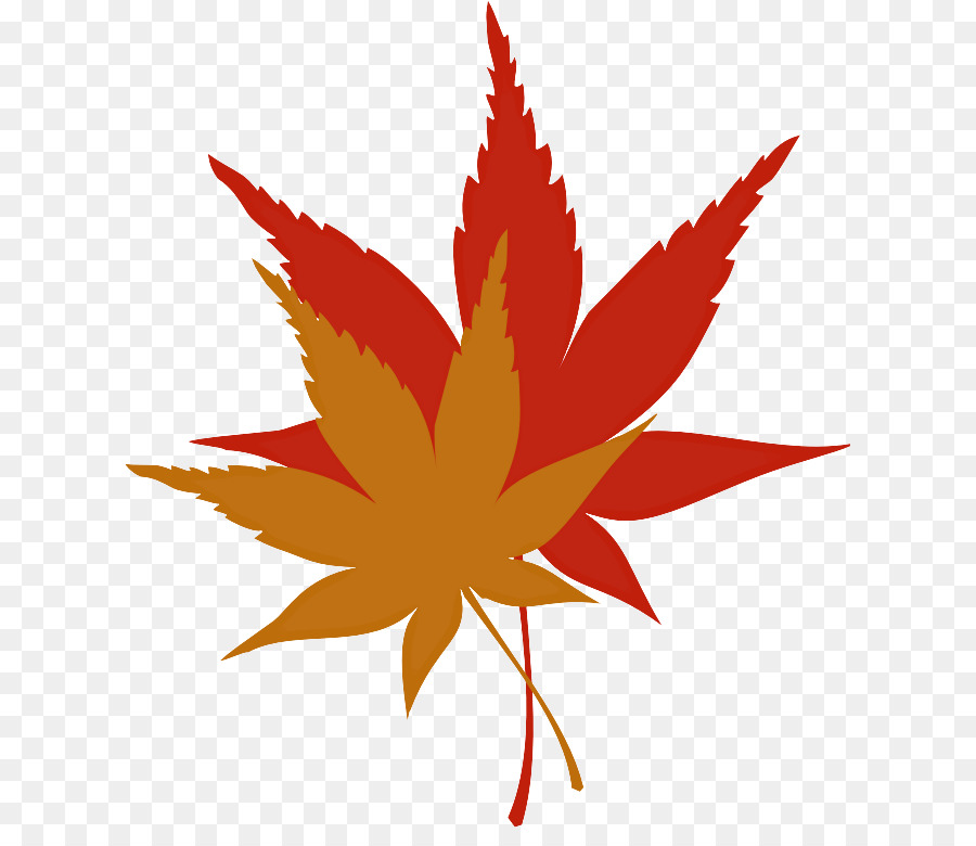 Feuilles D'érable，Automne PNG