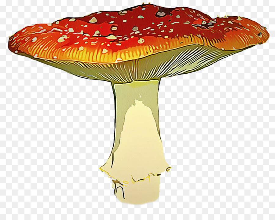 Champignons，Grappe PNG