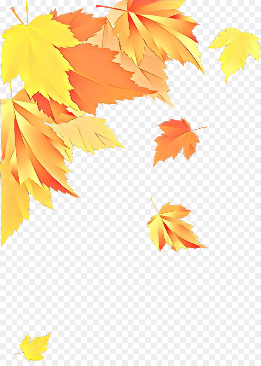 Feuilles D'automne，Automne PNG