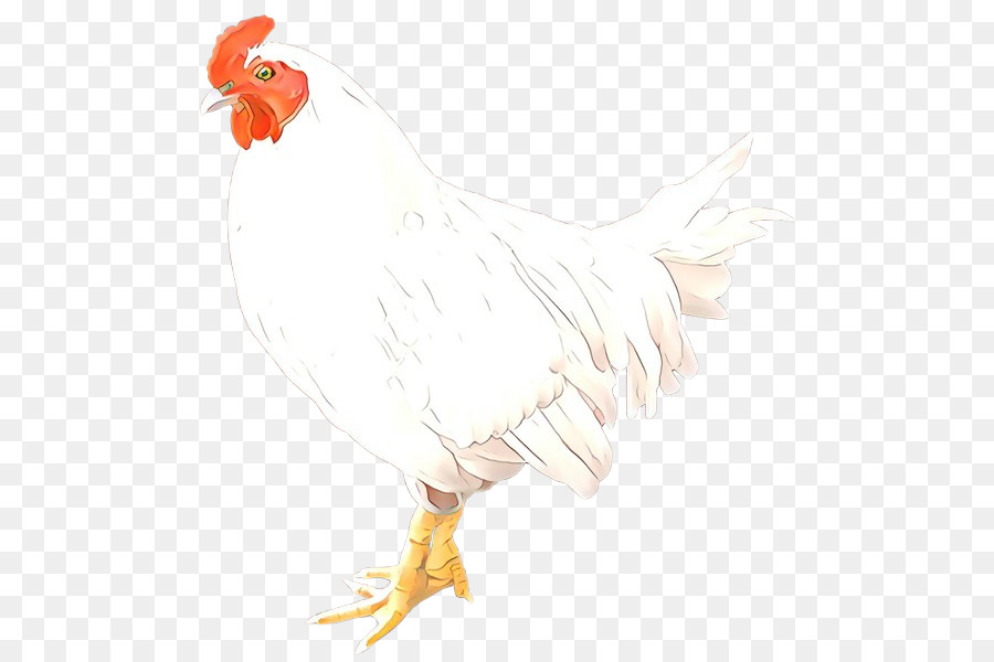 Poulet，Coq PNG