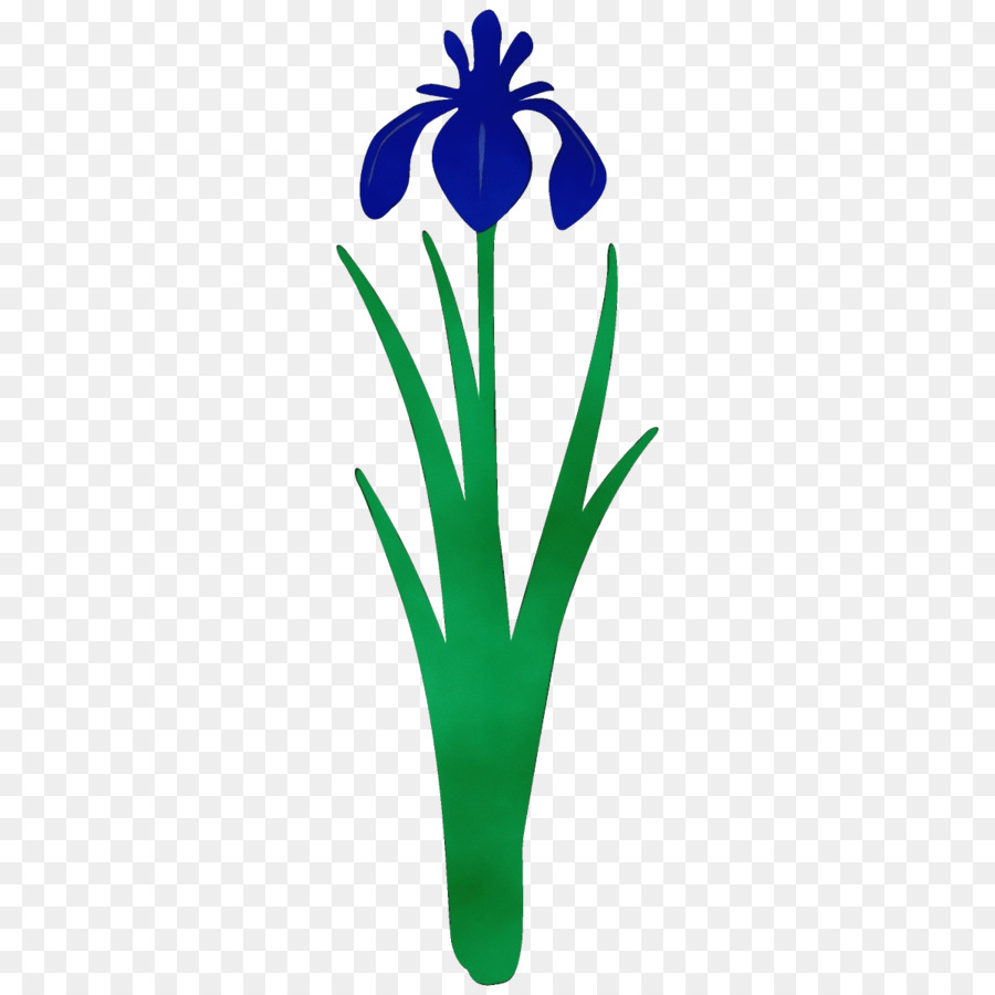 Fleur，Plante PNG