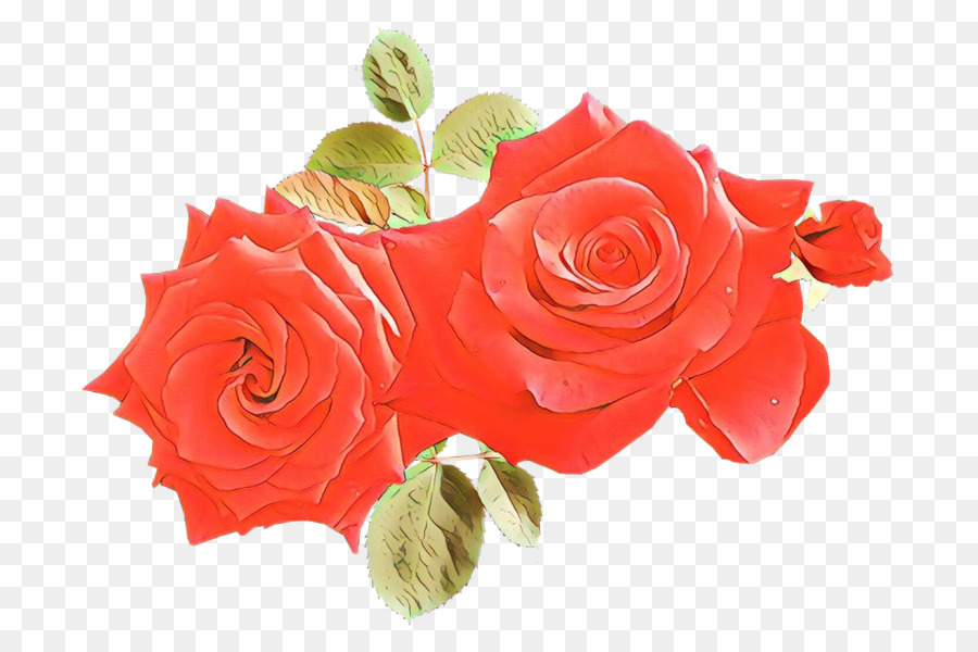 Rose Rouge，Fleurir PNG