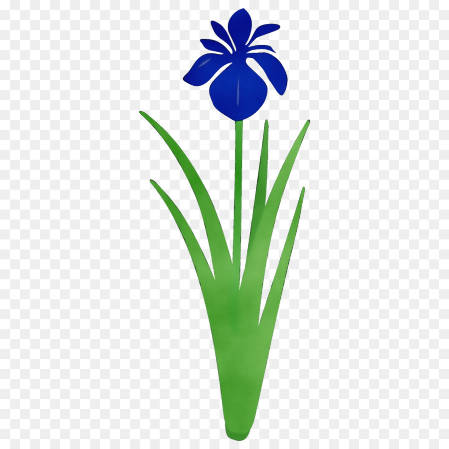 Fleur D'iris，Violet PNG