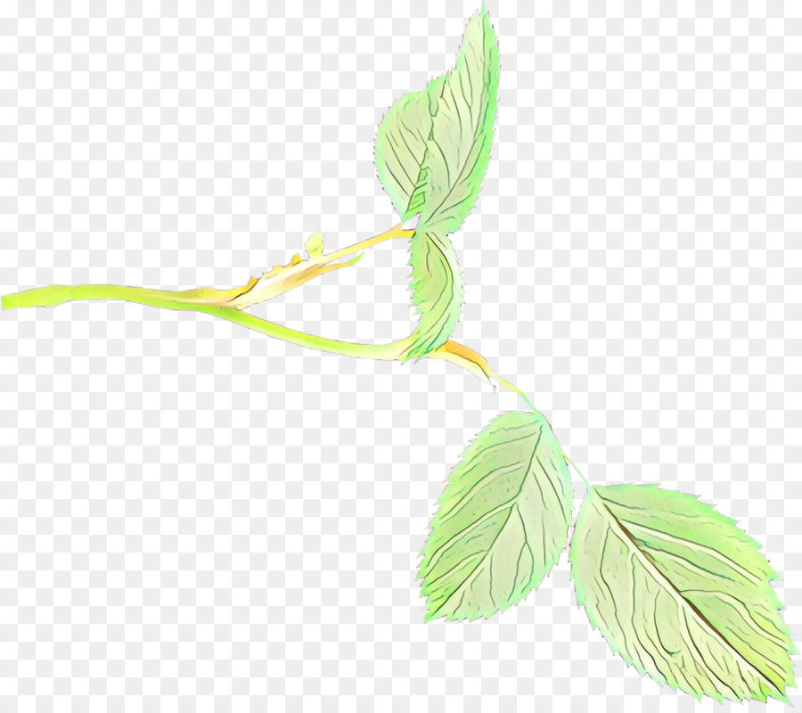 Feuilles Vertes，Bifurquer PNG