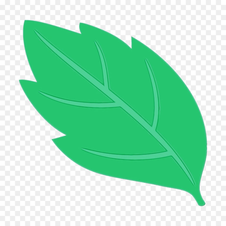 Feuilles Vertes，Usine PNG