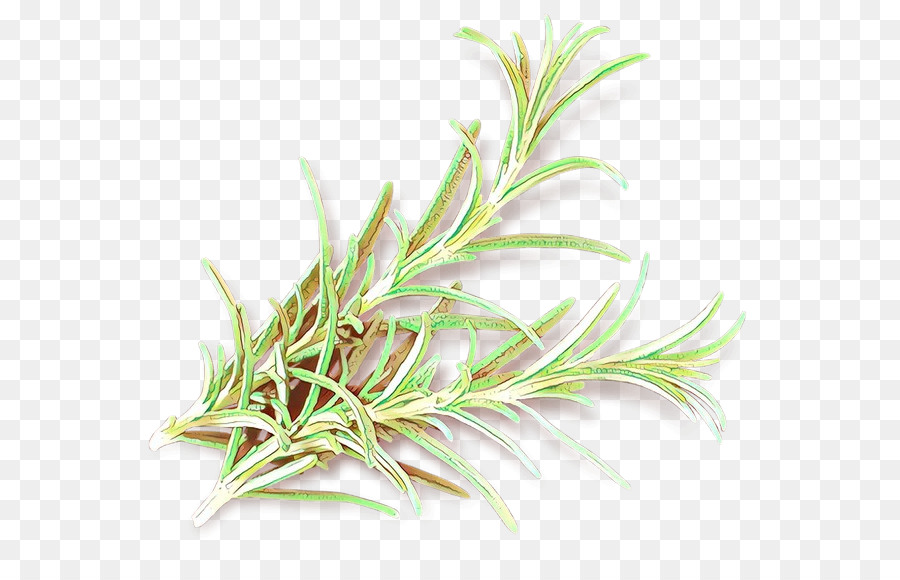 Herbe，Usine PNG