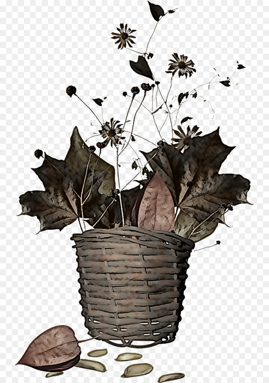 Fleurs Séchées，Panier PNG