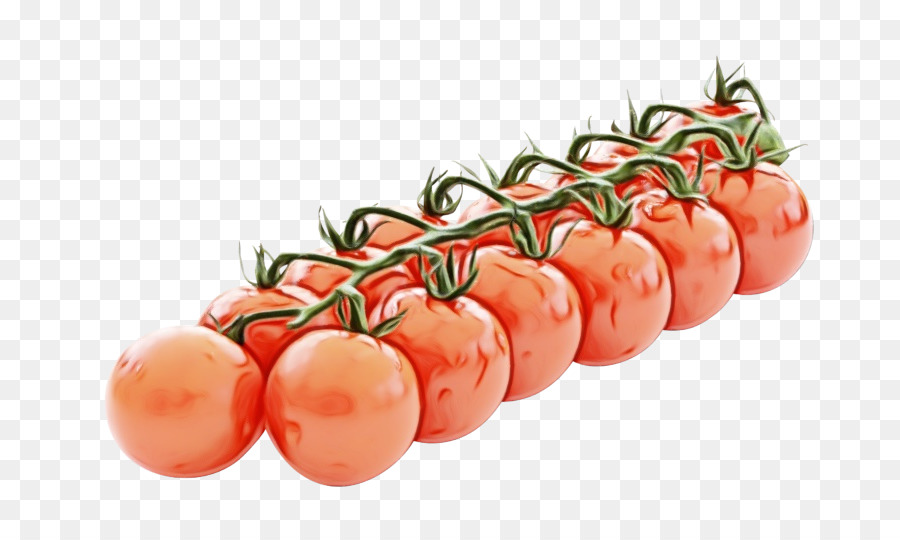 Tomate，Solanum PNG