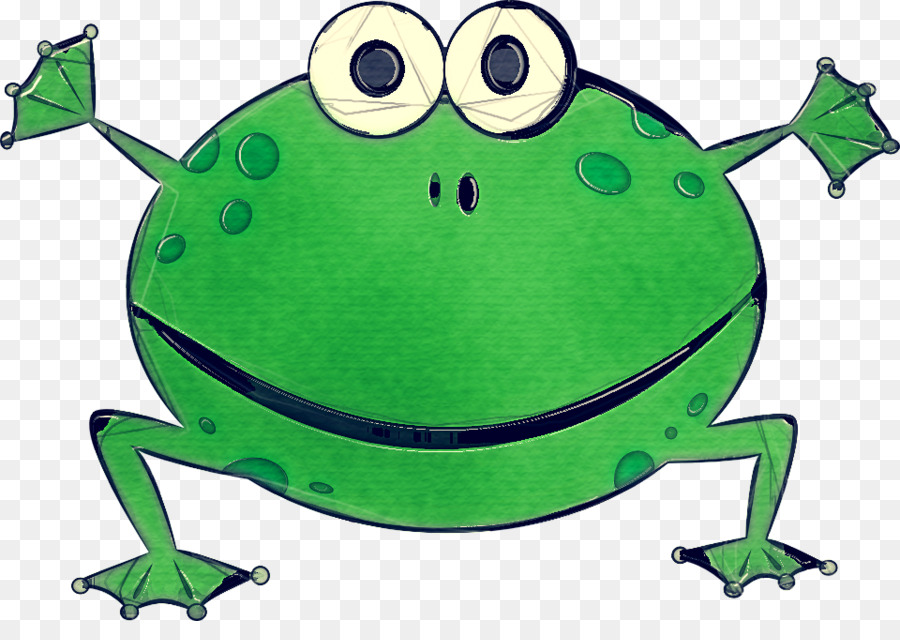 Grenouille Verte，Dessin Animé PNG