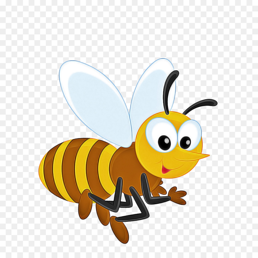 Abeille，Insecte PNG