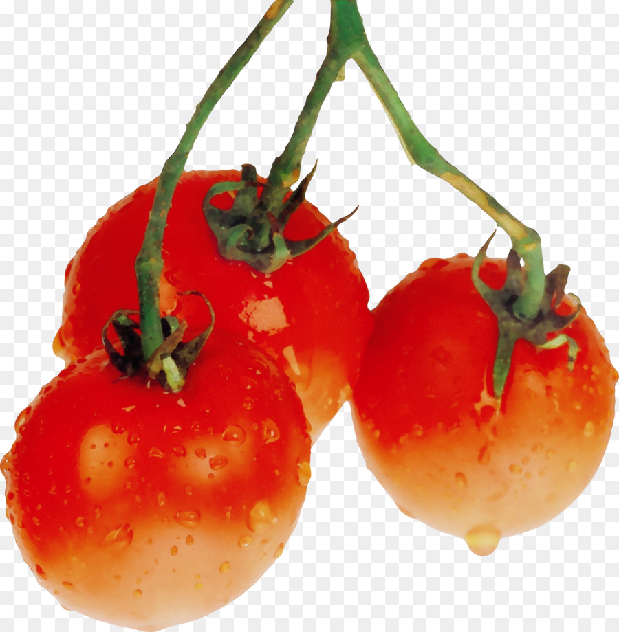 Aliments Naturels，Tomate PNG