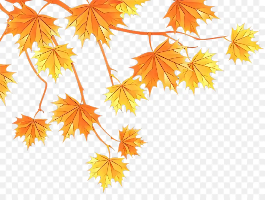 Feuilles，Automne PNG