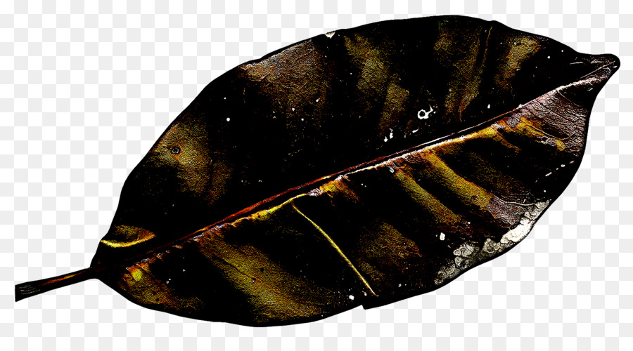 Feuille Jaune，Nature PNG