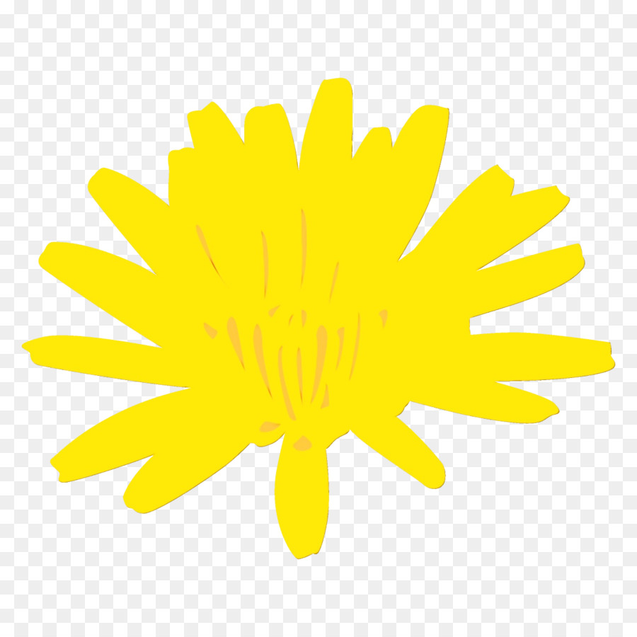 Jaune，Fleur PNG