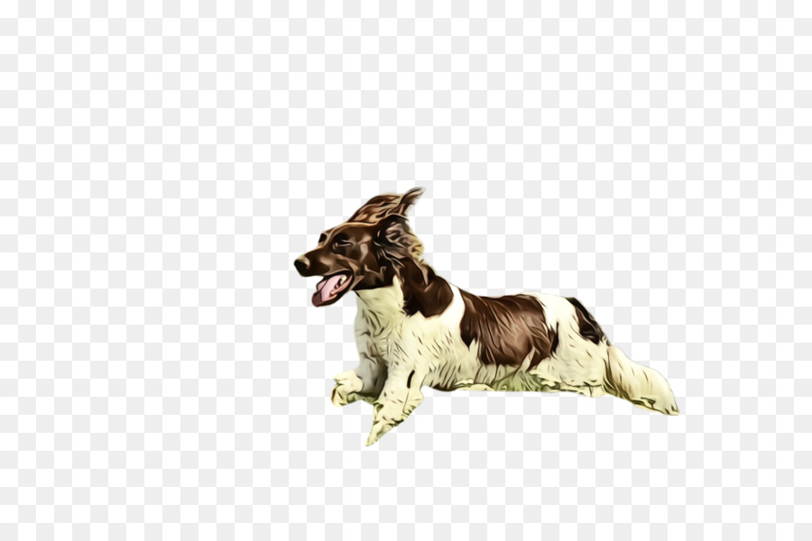 Chien，Race De Chien PNG