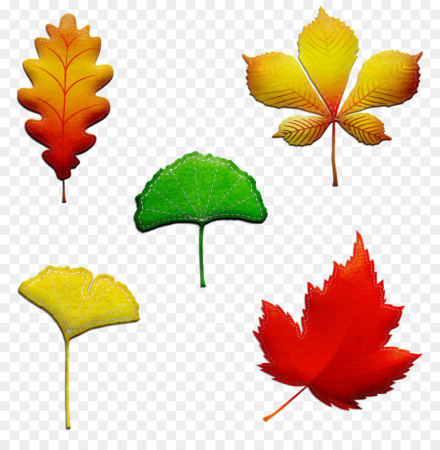 Feuilles，Automne PNG