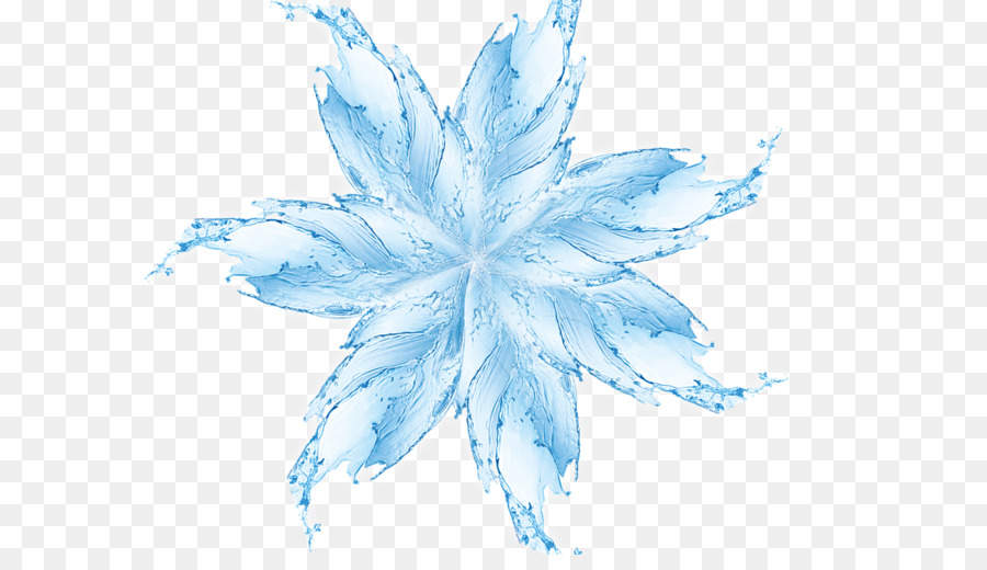 Feuille，Bleu PNG