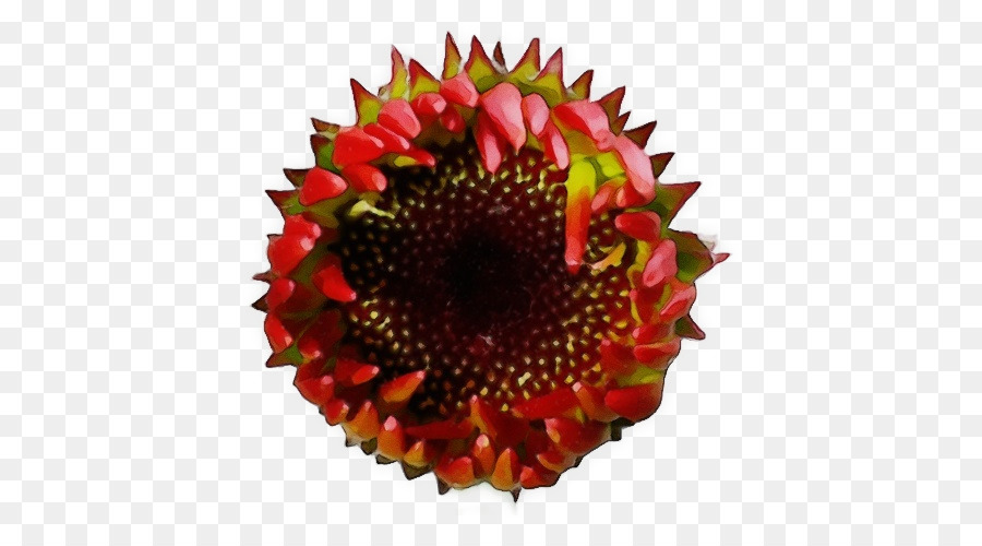 Fleur，Rouge PNG