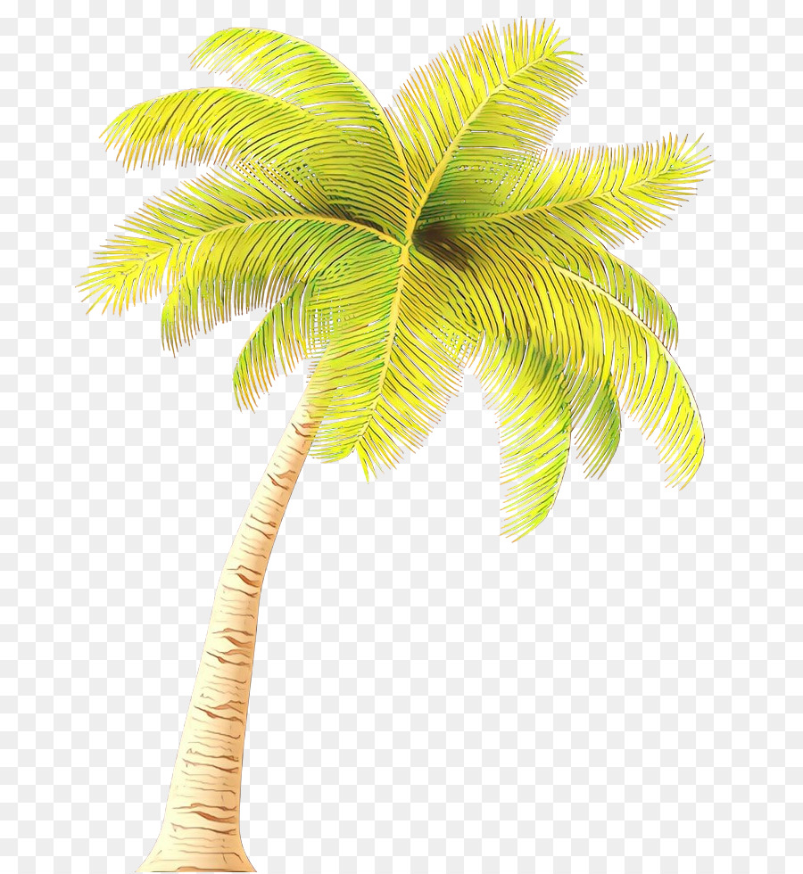 Palmier，Arbre PNG